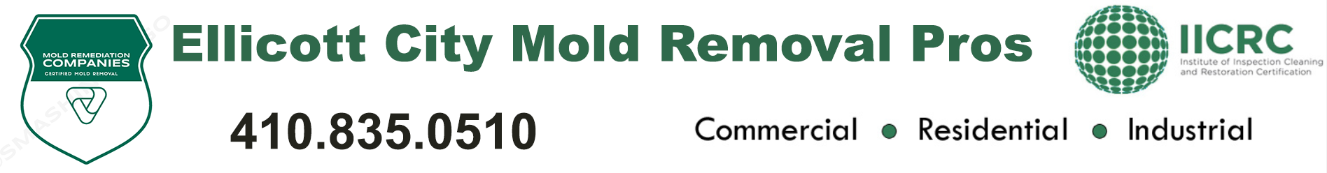 Ellicott City Mold Removal Pros